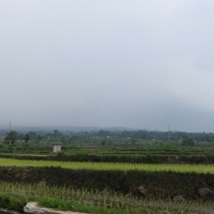 Bukit Berbunga-Uci Bing Slamet Cover.