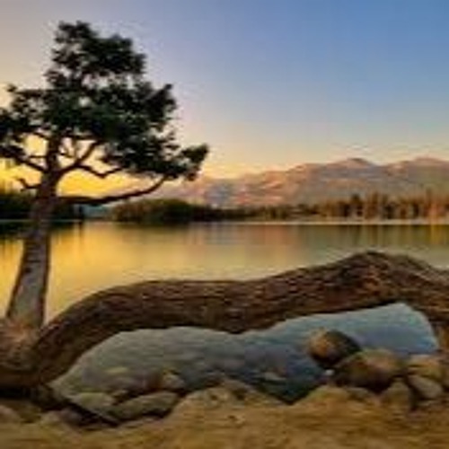 Study Playlist