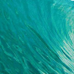 BayBlu DaLoc/Cgm SupaStar J.R. (BluStar)#TheCovenant #BMMB