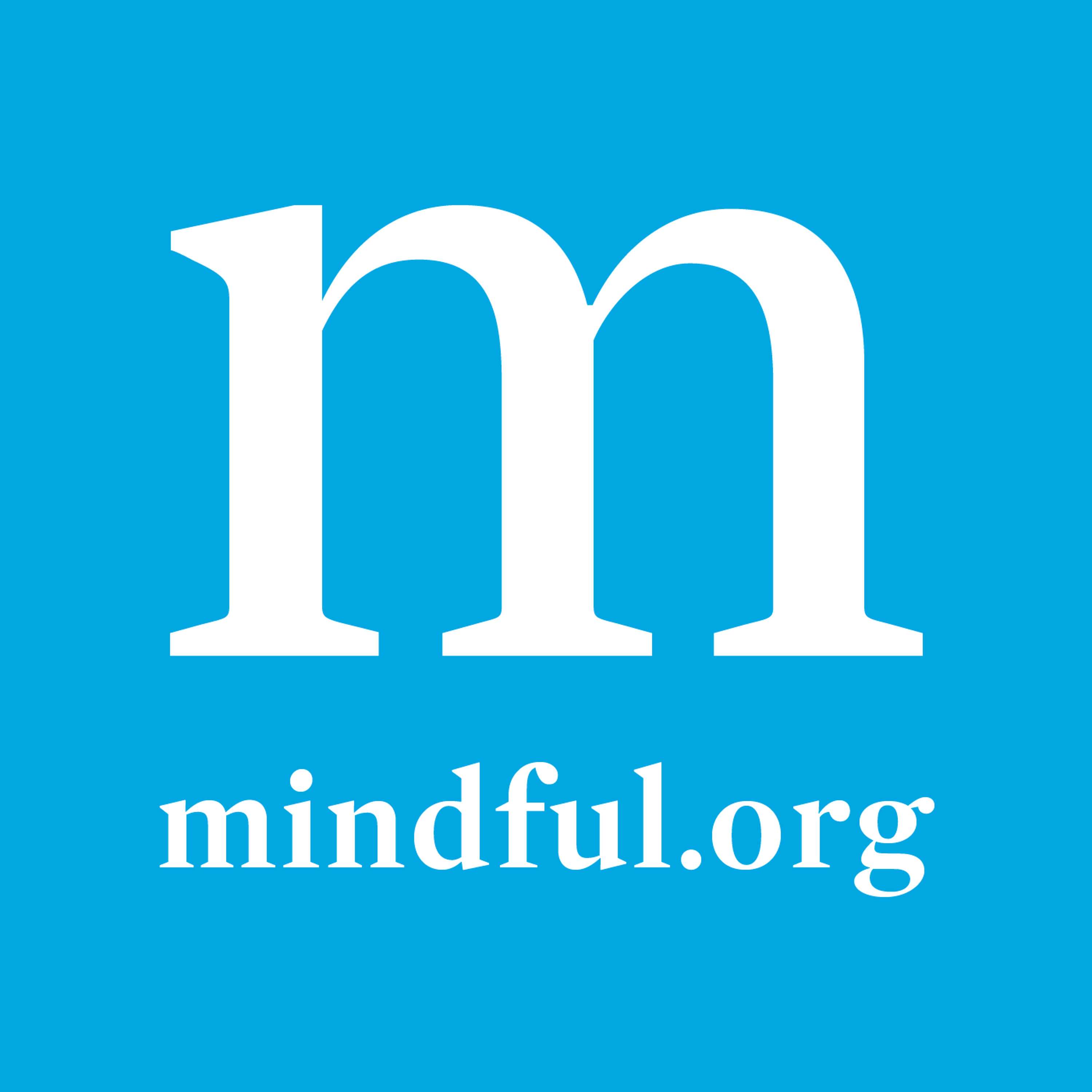 Where Does the Path of Mindfulness Lead?