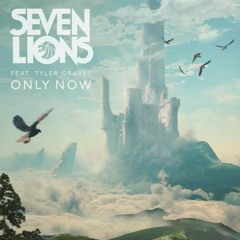 Seven Lions - Only Now (feat. Tyler Graves)