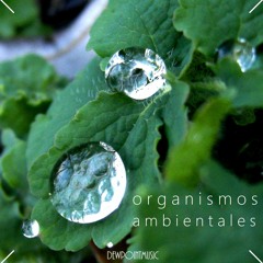 Organismos Ambientales