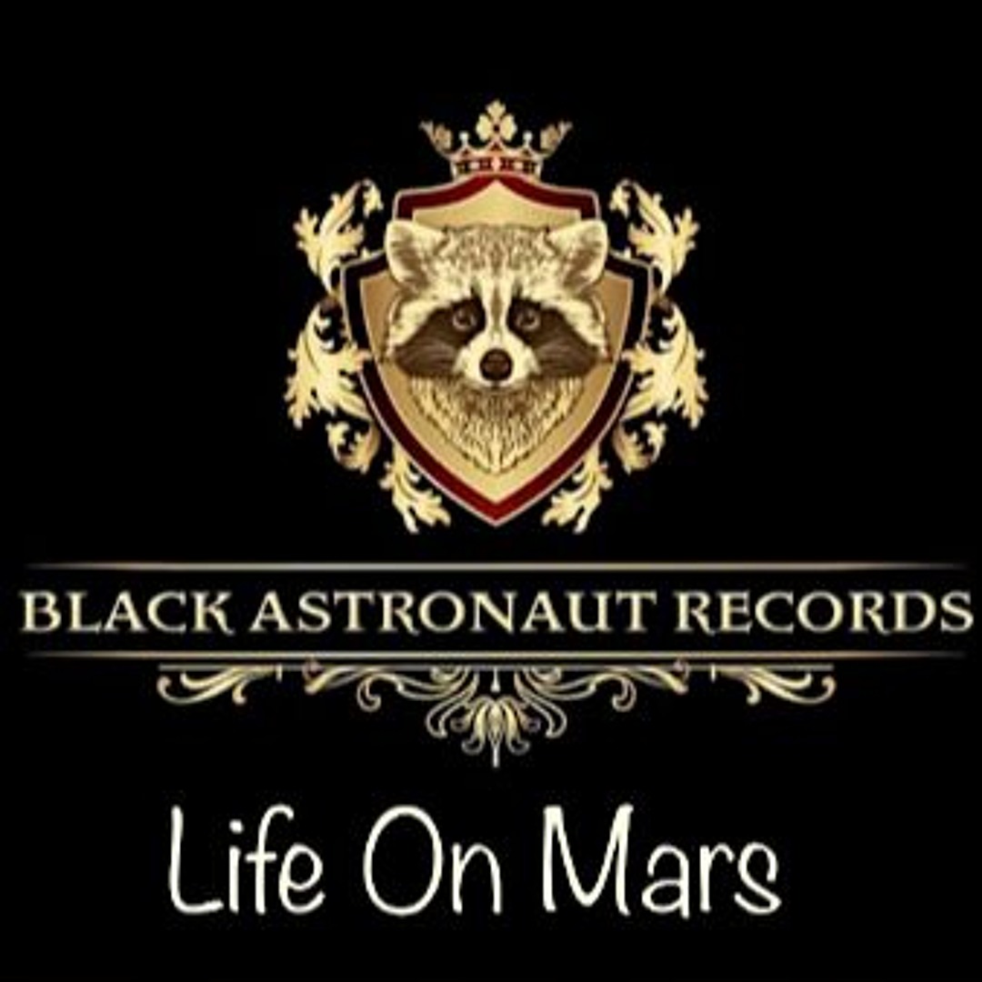 Life On Mars