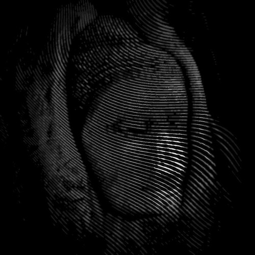 [Code/Neda] - Cambodia (Demo )