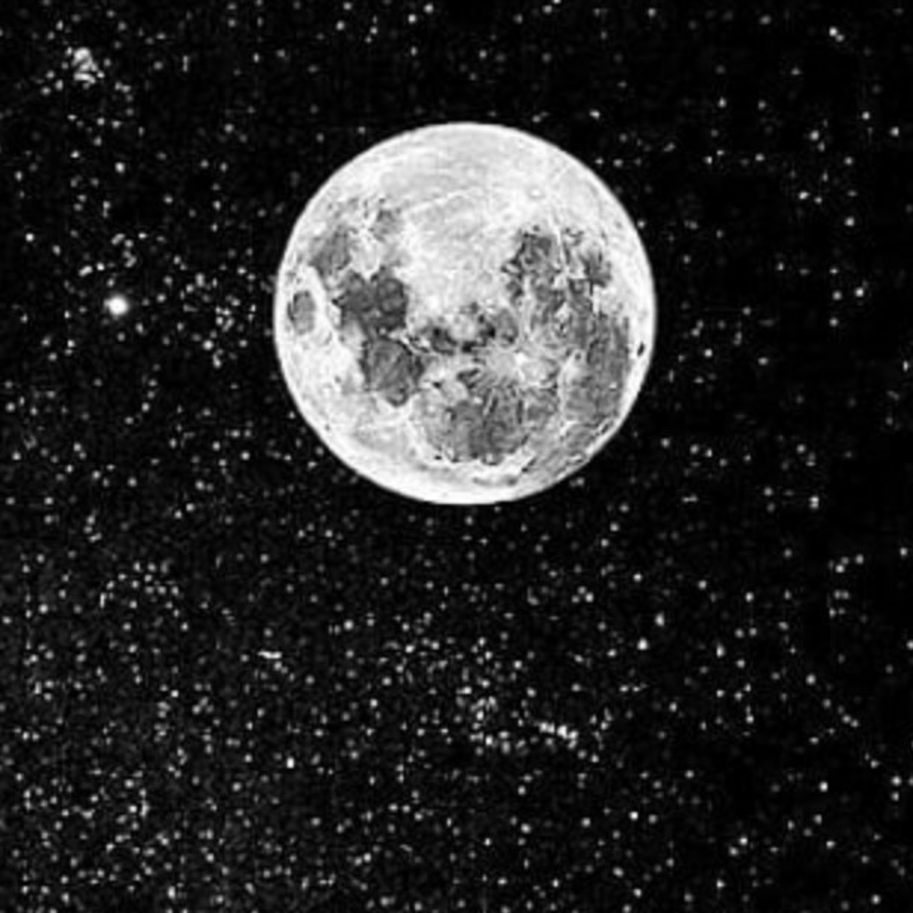 Martröo (HIVE RECORDS)