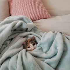 Momo's playlist
