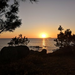 Late Summer - Mick & Luc & rain