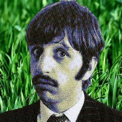 Ringo Dreams of Lawn Care