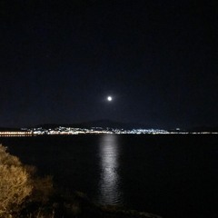 AMAZING NIGHTS