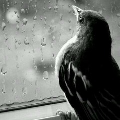 صلوات صامته