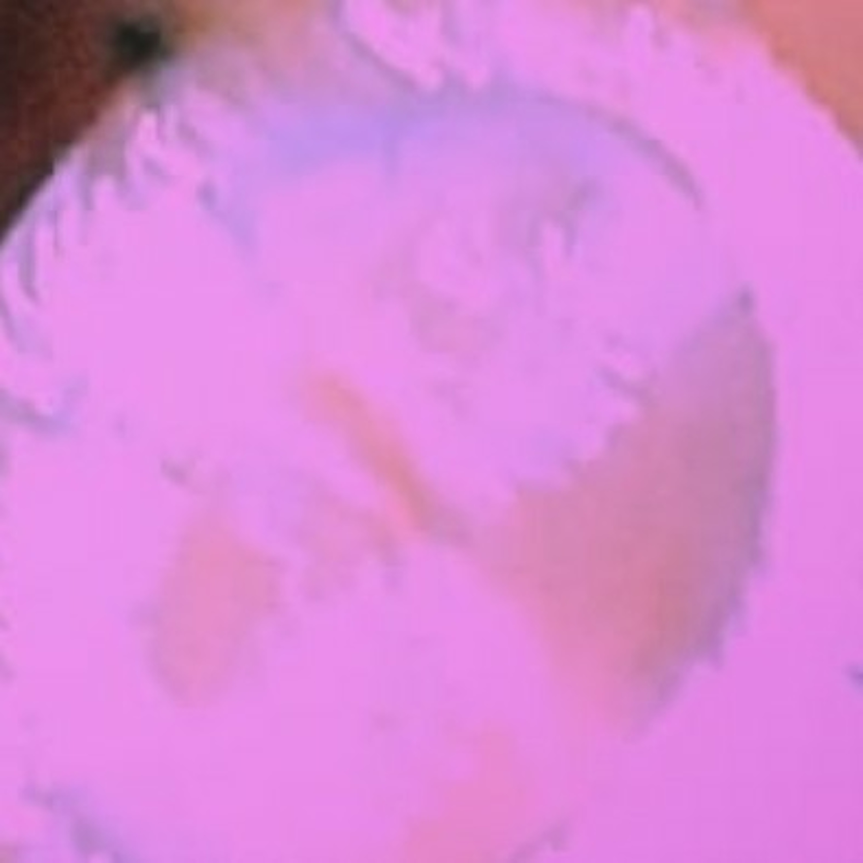 Xangelo