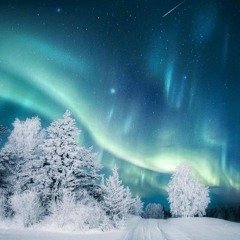 Winter 2019/2020