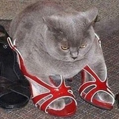 Моё
