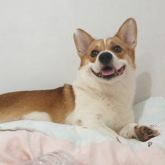 😚