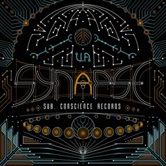 VA - Synapse