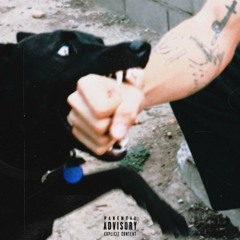 TROIA NELL'AUTO (Ft.kash)