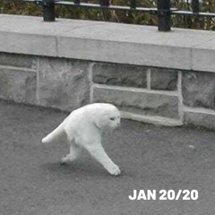 JAN 20/20