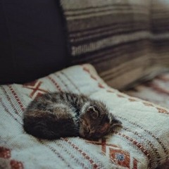 و إذ قال موسى لقومه | أحمد المرشود - رحمه الله - ☁️🖤