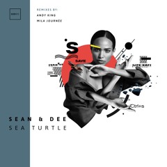 Sean & Dee - Sea Turtle | ICONYC NYC145
