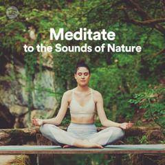 Meditate to the Sounds of Nature
