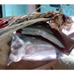 APEX CONVENIENCE PREDATOR