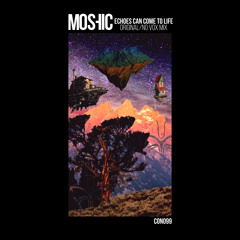 MOSHIC - ECHOES CAN COME TO LIFE (no vox mix)