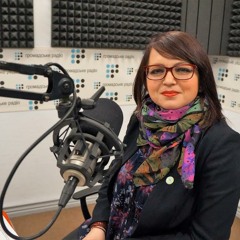 Норма про позбавлення громадянства — це для нас глобальний діаспорний майдан, — Москалу