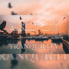 AYAT OF TRANQUILITY - SAKINAH