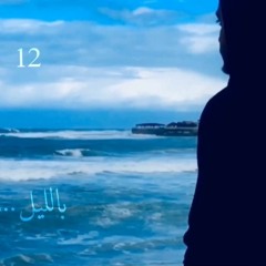 السعودي - ١٢ بالليل |  ELS300DY -12:00 pm
