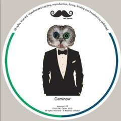 Gaminow - The Midnight (MRCARTER126)