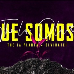The La Planta - Que Somos? feat. Olvidate !