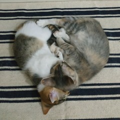 Bila - Nadya Fatira (cover)