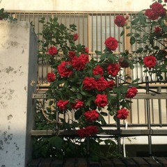 [LOFI REMIX] FREDDIE DREDD - OPAUL    Crayons Beats.mp3