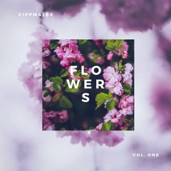 CipPmaless | Fly in my Rhymes