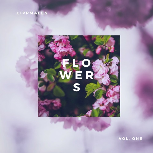 CipPmaless | Fly in my Rhymes