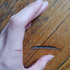 i found in my palm a flower (guitar sketches)