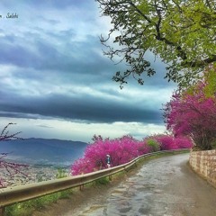 Kurdistanekem mayey heyatim - کوردستانەکەم مایەی حەیاتم  Naser RazaziRezazî -ناسر ڕەزازی