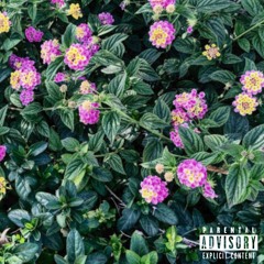 Paradise ft. Aezzthetic (prod.MXZA)