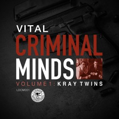 Vital - Acid Rocker [Liondub International]