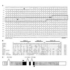 ESX1 - Human Protein Sonification