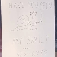gary come home