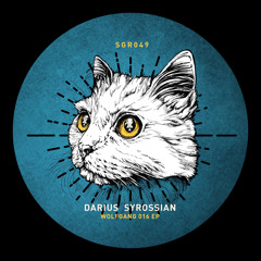 Darius Syrossian - Wolfgang 016