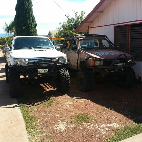 Rootz and creation - Girly girl