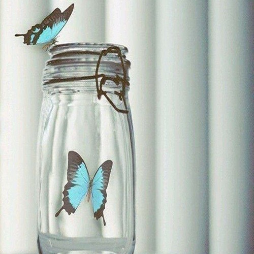 BEAUTIFUL DISASTER (Feat. Cammie Robinson)