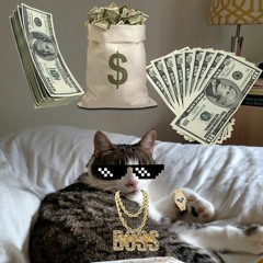 Kitty wap