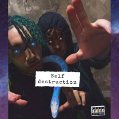 Self destruction