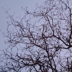 But really, I should go to bed