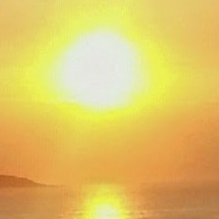 Computer and flowers....my Anglo - French love song.