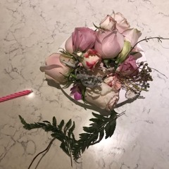 Casual covers - wish you were gay 🦚