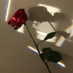 Safe and Sound (short cover)